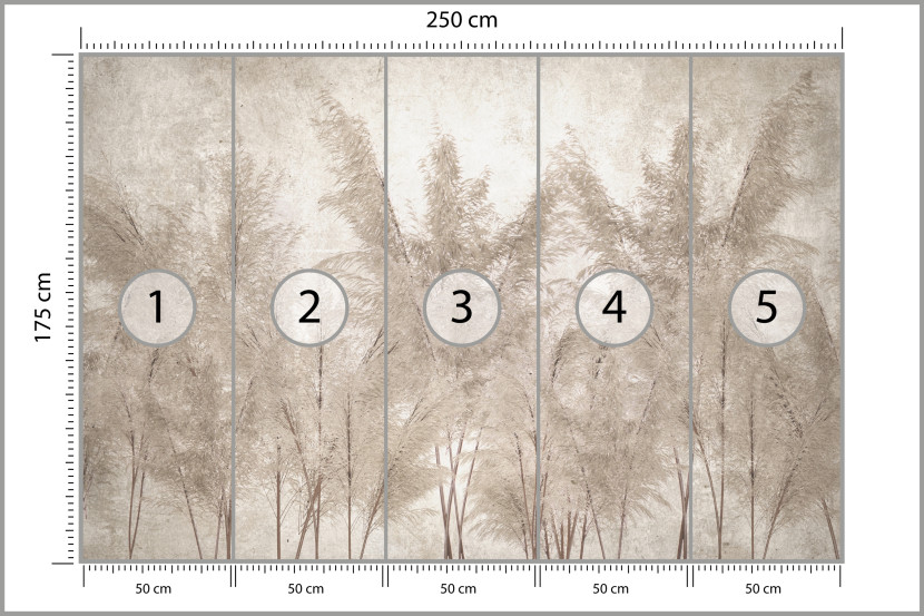 Fototapeta Trawy Pampasowe do Salonu i Sypialni 250x175cm, 6867502
