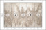 Fototapeta Trawy Pampasowe do Salonu i Sypialni 250x175cm, 6867502