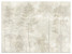 Fototapeta Las we Mgle na Betonie do Salonu i Sypialni 400x280cm, 6867839