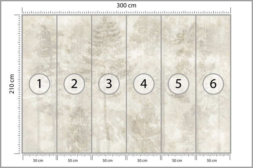 Fototapeta Las we Mgle na Betonie do Salonu i Sypialni 300x210cm, 6868044