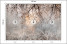 Fototapeta Drzewo i Kwiaty we Mgle do Salonu i Sypialni 150x105cm, 6868197