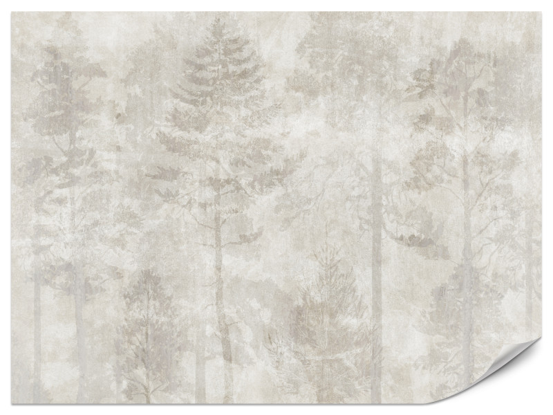 Fototapeta Las we Mgle na Betonie do Salonu i Sypialni 450x315cm, 6868701