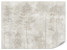 Fototapeta Las we Mgle na Betonie do Salonu i Sypialni 450x315cm, 6868701