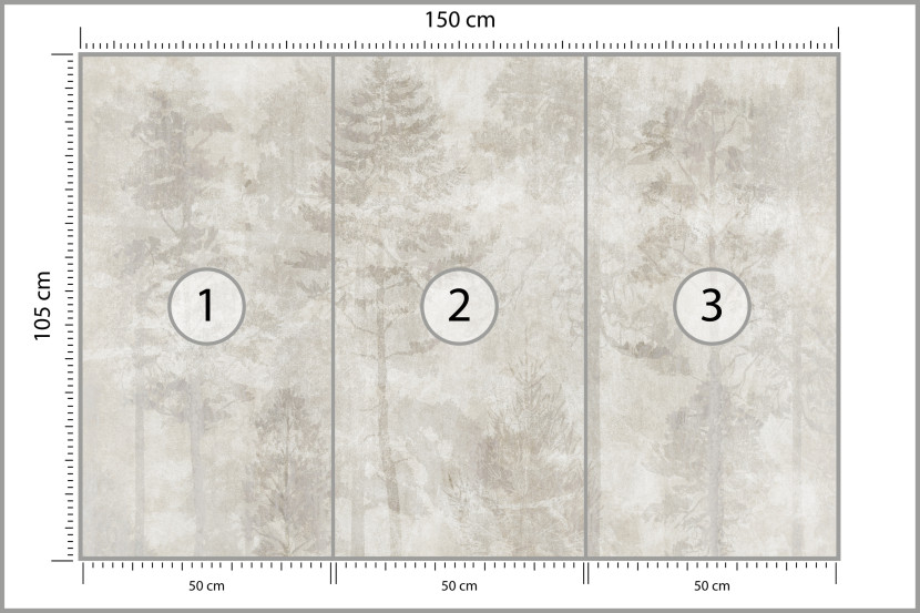 Fototapeta Las we Mgle na Betonie do Salonu i Sypialni 150x105cm, 6868829