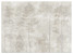 Fototapeta Las we Mgle na Betonie do Salonu i Sypialni 150x105cm, 6868835
