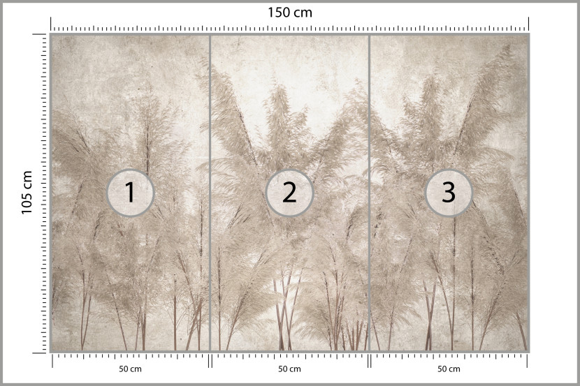 Fototapeta Trawy Pampasowe do Salonu i Sypialni 150x105cm, 6869195