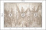 Fototapeta Trawy Pampasowe do Salonu i Sypialni 150x105cm, 6869195