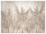 Fototapeta Trawy Pampasowe do Salonu i Sypialni 150x105cm, 6869201