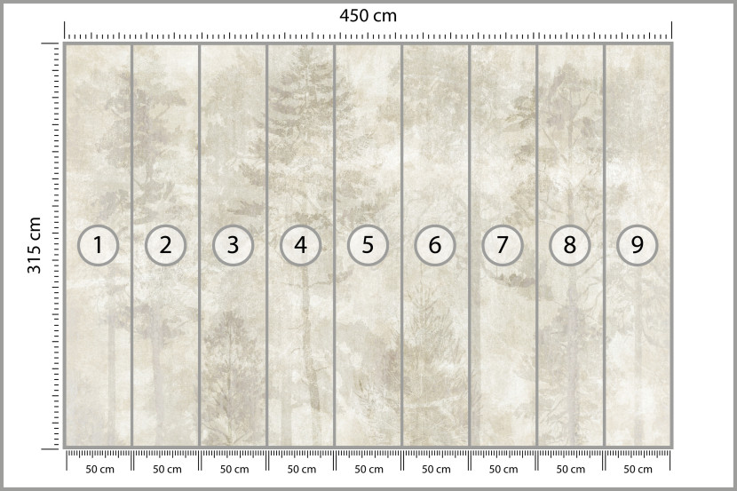 Fototapeta Las we Mgle na Betonie do Salonu i Sypialni 450x315cm, 6869357