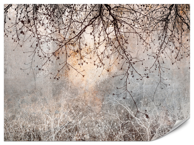 Fototapeta Drzewo i Kwiaty we Mgle do Salonu i Sypialni 450x315cm, 6869547