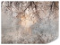 Fototapeta Drzewo i Kwiaty we Mgle do Salonu i Sypialni 450x315cm, 6869547