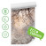 Fototapeta Drzewo i Kwiaty we Mgle do Salonu i Sypialni 450x315cm, 6869554