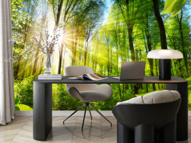 Fototapeta Słońce pomiędzy Drzewami do Salonu i Sypialni 100x70cm