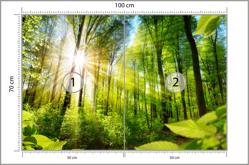 Fototapeta Słońce pomiędzy Drzewami do Salonu i Sypialni 100x70cm, 6869948
