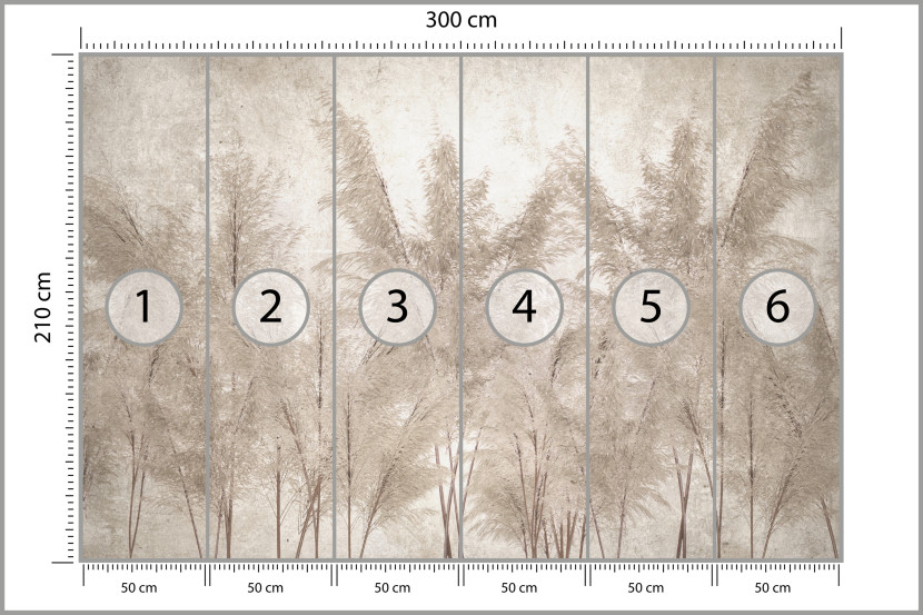 Fototapeta Trawy Pampasowe do Salonu i Sypialni 300x210cm, 6870029