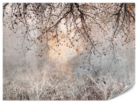 Fototapeta Drzewo i Kwiaty we Mgle do Salonu i Sypialni 100x70cm