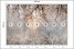 Fototapeta Drzewo i Kwiaty we Mgle do Salonu i Sypialni 350x256cm, 6870320