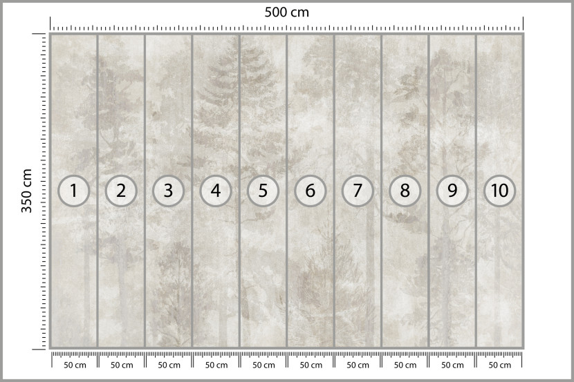 Fototapeta Las we Mgle na Betonie do Salonu i Sypialni 500x350cm, 6870482