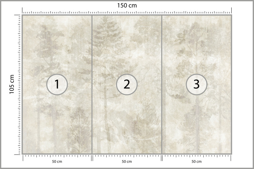 Fototapeta Las we Mgle na Betonie do Salonu i Sypialni 150x105cm, 6870611