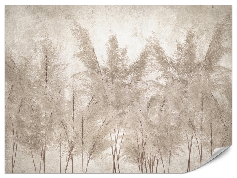 Fototapeta Trawy Pampasowe do Salonu i Sypialni 100x70cm, 6870654