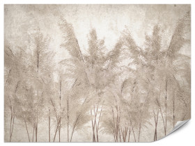 Fototapeta Trawy Pampasowe do Salonu i Sypialni 100x70cm