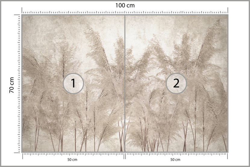 Fototapeta Trawy Pampasowe do Salonu i Sypialni 100x70cm, 6870656