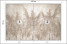 Fototapeta Trawy Pampasowe do Salonu i Sypialni 100x70cm, 6870656