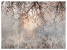 Fototapeta Drzewo i Kwiaty we Mgle do Salonu i Sypialni 400x280cm, 6870671