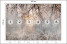Fototapeta Drzewo i Kwiaty we Mgle do Salonu i Sypialni 300x210cm, 6870755