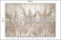 Fototapeta Trawy Pampasowe do Salonu i Sypialni 500x350cm, 6870848