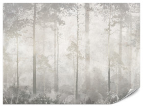 Fototapeta Mglisty Las do Salonu i Sypialni 100x70cm