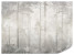 Fototapeta Mglisty Las do Salonu i Sypialni 100x70cm, 6880923