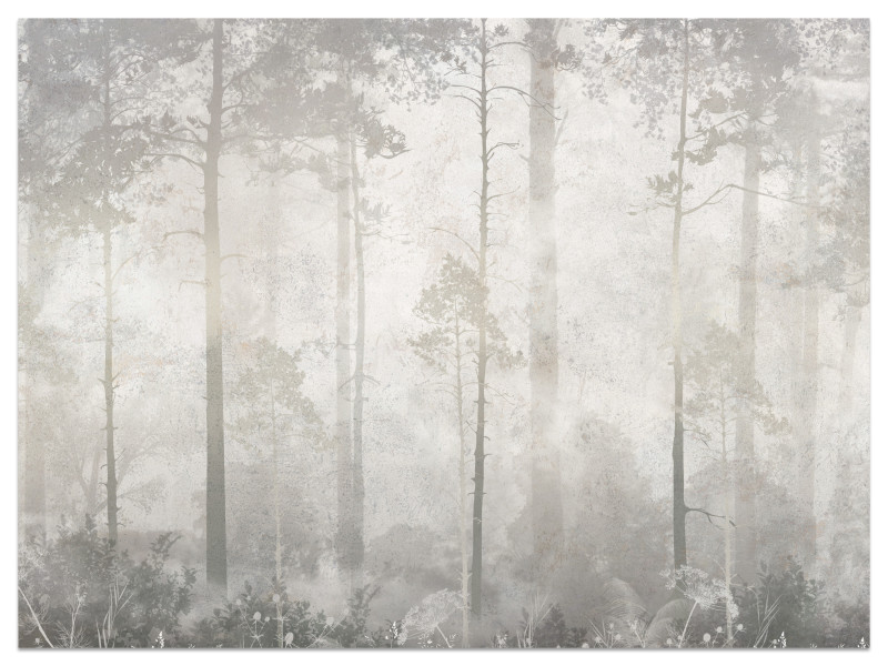 Fototapeta Mglisty Las do Salonu i Sypialni 350x256cm, 6881321