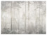 Fototapeta Mglisty Las do Salonu i Sypialni 400x280cm, 6881641