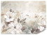Fototapeta Abstrakcyjne Kremowe Kwiaty do Salonu i Sypialni 150x105cm, 6885429