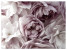 Fototapeta Pastelowe Kwiaty do Salonu i Sypialni 200x140cm, 6886045