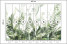 Fototapeta Zielone Liście Tropikalne do Salonu i Sypialni 400x280cm, 6886821