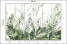 Fototapeta Zielone Liście Tropikalne do Salonu i Sypialni 300x210cm, 6886824
