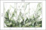 Fototapeta Zielone Liście Tropikalne do Salonu i Sypialni 150x105cm, 6886829