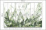 Fototapeta Zielone Liście Tropikalne do Salonu i Sypialni 500x350cm, 6886830