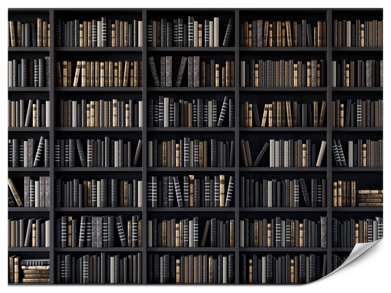 Fototapeta Regały z Książkami do Biura 400x280cm, 6890496