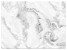 Fototapeta Szary Marmur do Salonu i Sypialni 300x210cm, 6893517