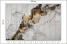 Fototapeta Nowoczesny Wzór Marmuru do Salonu i Sypialni 500x350cm, 6894922
