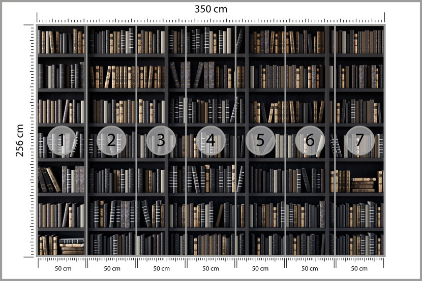 Fototapeta Regały z Książkami do Biura 350x256cm, 6902538