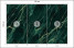 Fototapeta Zielony Marmur do Salonu i Sypialni 150x105cm, 6904637