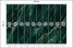 Fototapeta Zielony Marmur do Salonu i Sypialni 500x350cm, 6904809