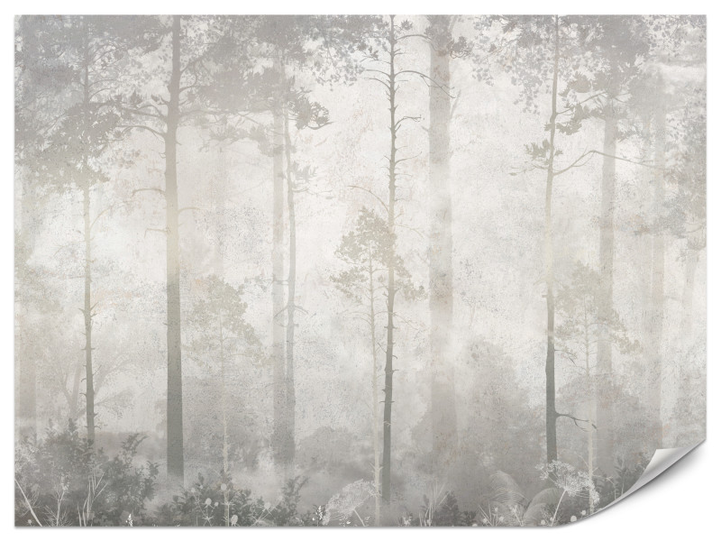 Fototapeta Mglisty Las do Salonu i Sypialni 150x105cm, 6920122