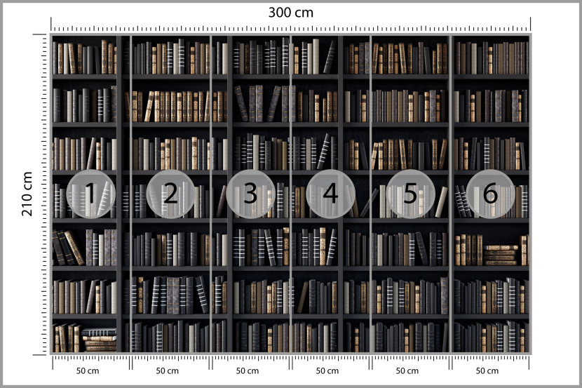 Fototapeta Regały z Książkami do Biura 300x210cm, 6927265