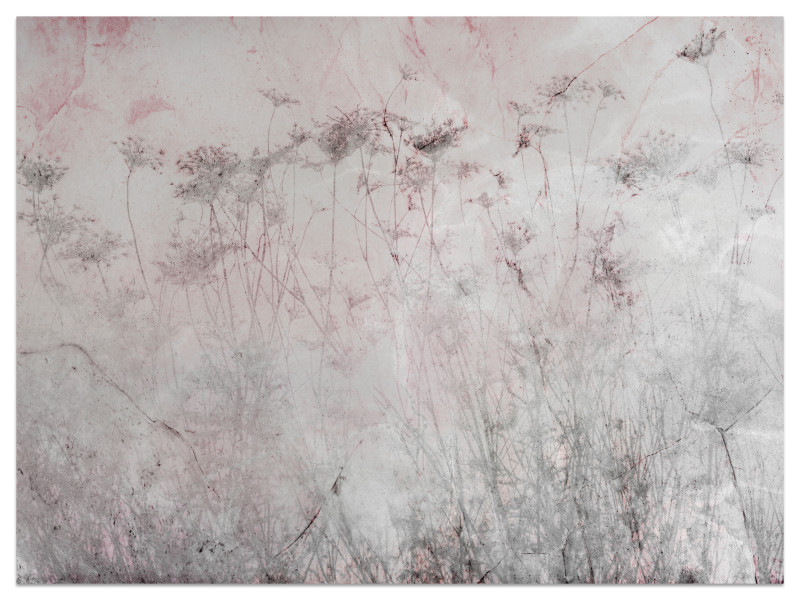 Fototapeta Łąka Kwiaty we Mgle do Salonu i Sypialni 150x105cm Boho, 7051087