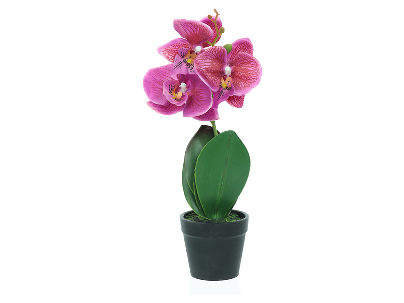 sztuczna orchidea w doniczce, 799470